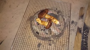 囲炉裏で信州産松茸を焼く
