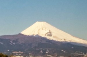 狩野川から見た富士